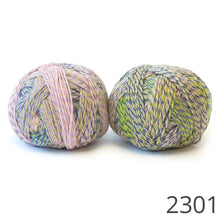 Load image into Gallery viewer, Schoppel Edition 3 Sport