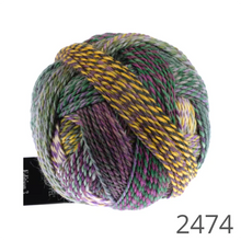 Load image into Gallery viewer, Schoppel Edition 3 Sport