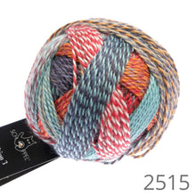 Load image into Gallery viewer, Schoppel Edition 3 Sport