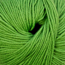 Load image into Gallery viewer, Cascade 220 Superwash Wool
