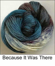Load image into Gallery viewer, Ancient Arts Socknado Page 1