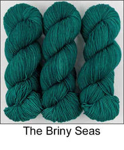 Load image into Gallery viewer, Ancient Arts Socknado Page 1