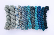 Load image into Gallery viewer, Koigu Grevillea Shawl Kit