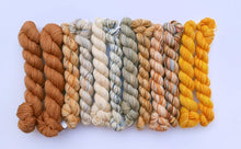 Load image into Gallery viewer, Koigu Grevillea Shawl Kit