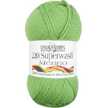 Load image into Gallery viewer, Cascade Superwash Merino