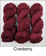 Load image into Gallery viewer, Ancient Arts Socknado Page 1
