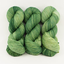 Load image into Gallery viewer, Ancient Arts Socknado Page 1