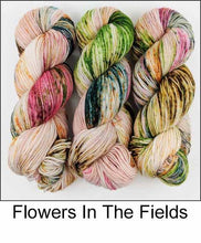 Load image into Gallery viewer, Ancient Arts Socknado Page 1