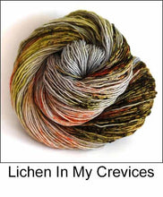 Load image into Gallery viewer, Ancient Arts Socknado Page 1