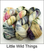 Load image into Gallery viewer, Ancient Arts Socknado Page 1