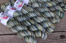 Load image into Gallery viewer, Koigu KPPM