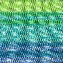 Load image into Gallery viewer, Estelle Evolution Sock