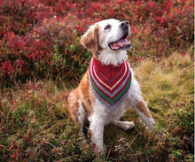 Load image into Gallery viewer, Saltwater Gifts