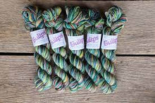 Load image into Gallery viewer, Koigu KPPM