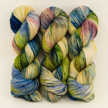 Load image into Gallery viewer, Ancient Arts Socknado Page 1