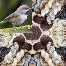 Load image into Gallery viewer, Songbird Yarns Worsted Weight
