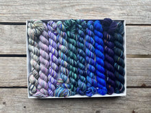 Load image into Gallery viewer, Koigu Pencil Boxes
